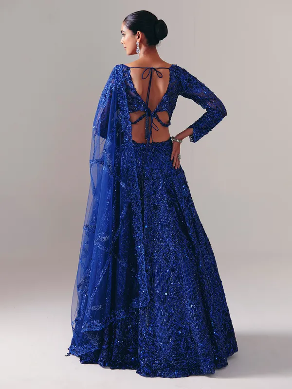 Blue net lehenga choli with regal stone sparkle