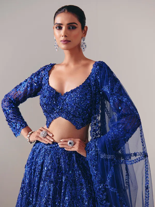 Blue net lehenga choli with regal stone sparkle