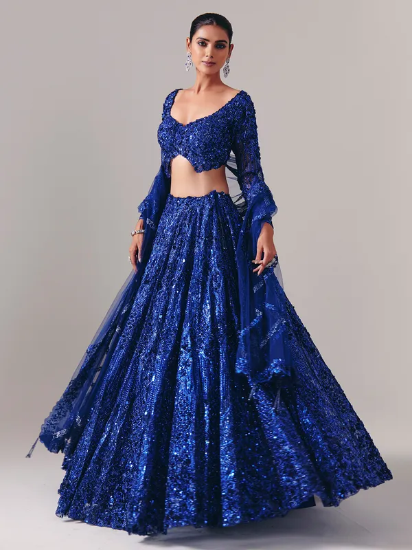 Blue net lehenga choli with regal stone sparkle