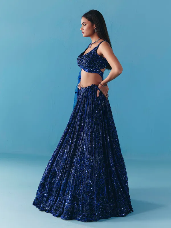 Blue net sweetheart neck lehenga choli with dupatta