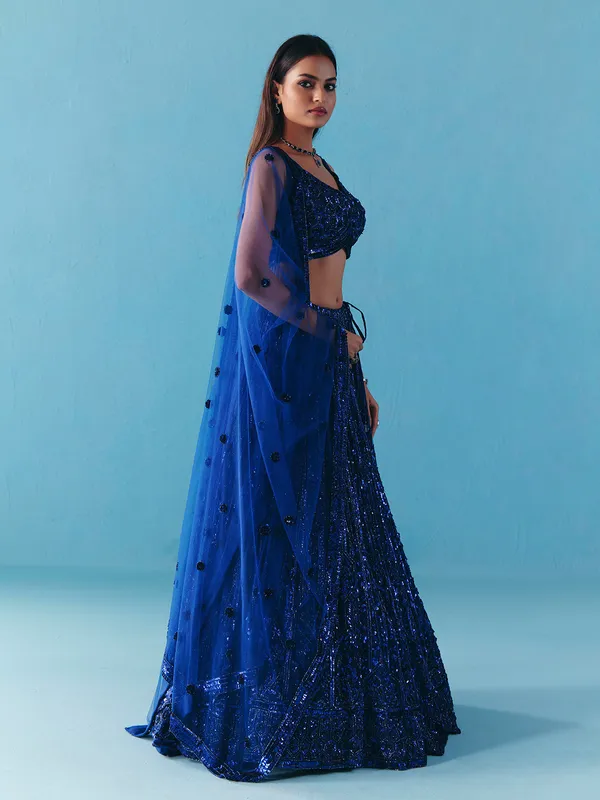 Blue net sweetheart neck lehenga choli with dupatta