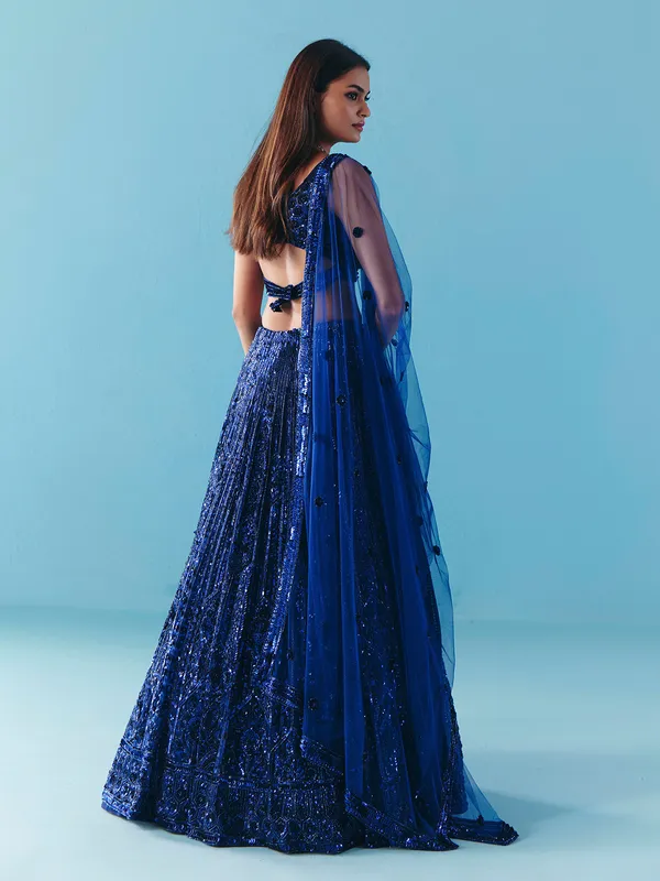Blue net sweetheart neck lehenga choli with dupatta