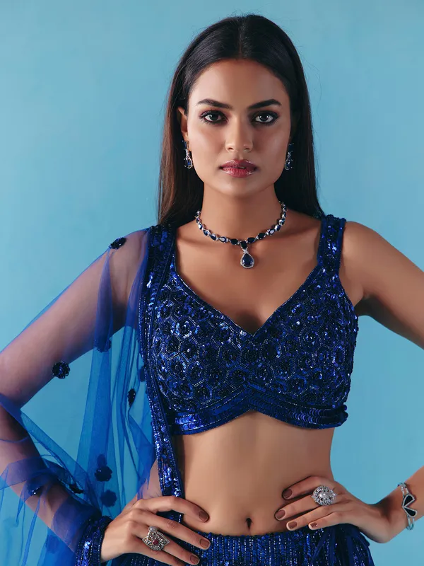 Blue net sweetheart neck lehenga choli with dupatta