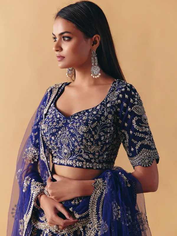 Blue raw silk lehenga choli with resham and zardosi shine