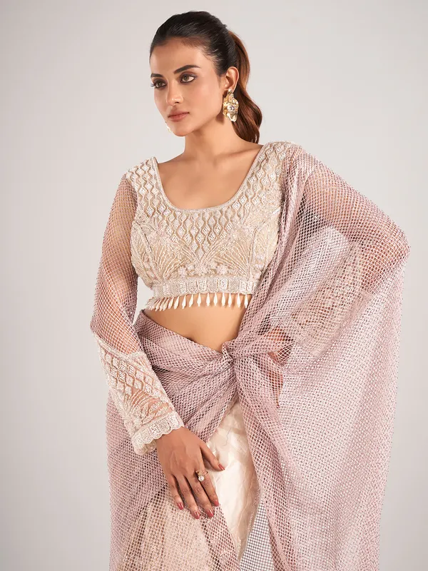 Brown and beige net with designer saree