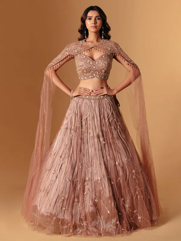 Brown net embellished lehenga choli for wedding wear