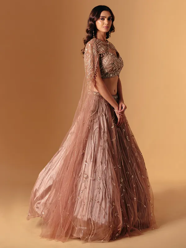 Brown net embellished lehenga choli for wedding wear