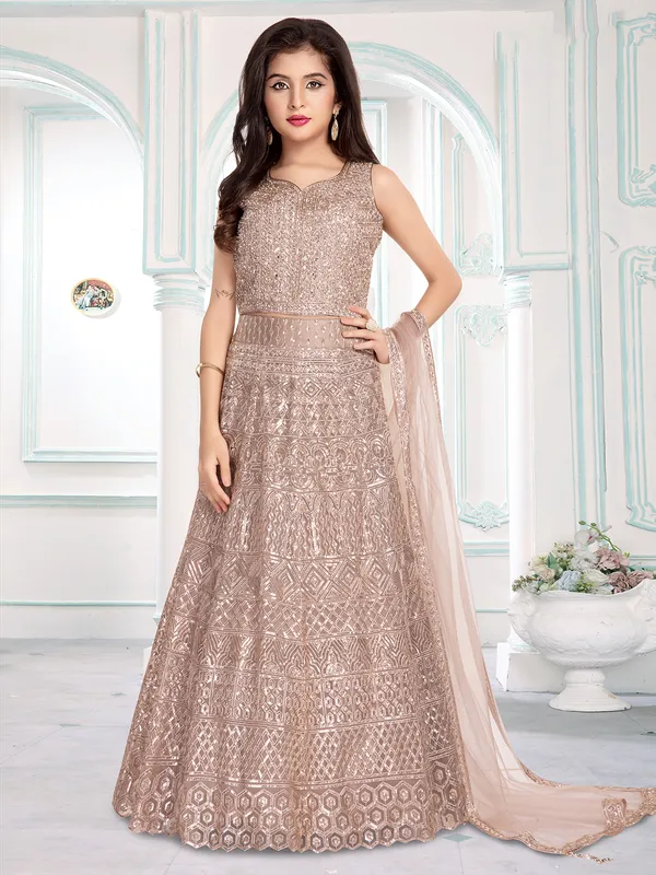 Brown net lehenga choli for girls