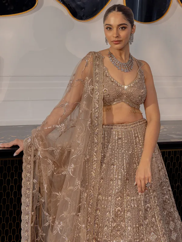 Brown net lehenga choli for wedding wear