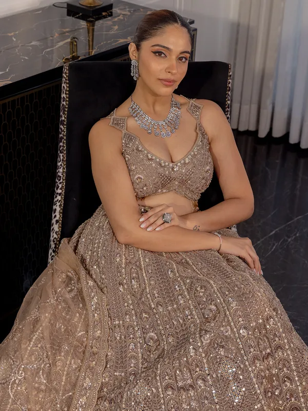 Brown net lehenga choli for wedding wear