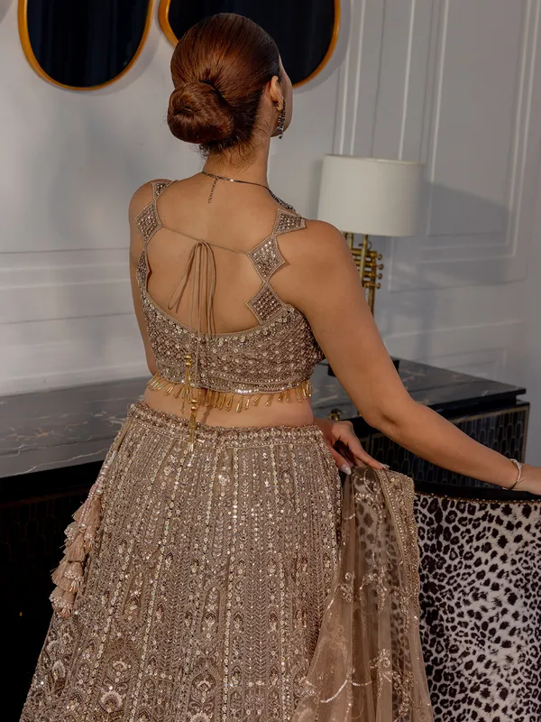 Brown net lehenga choli for wedding wear