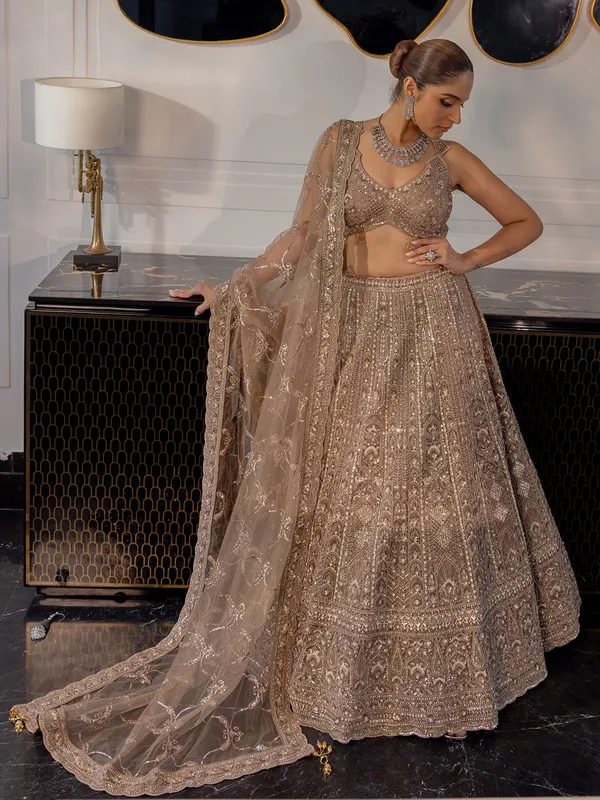Brown net lehenga choli for wedding wear