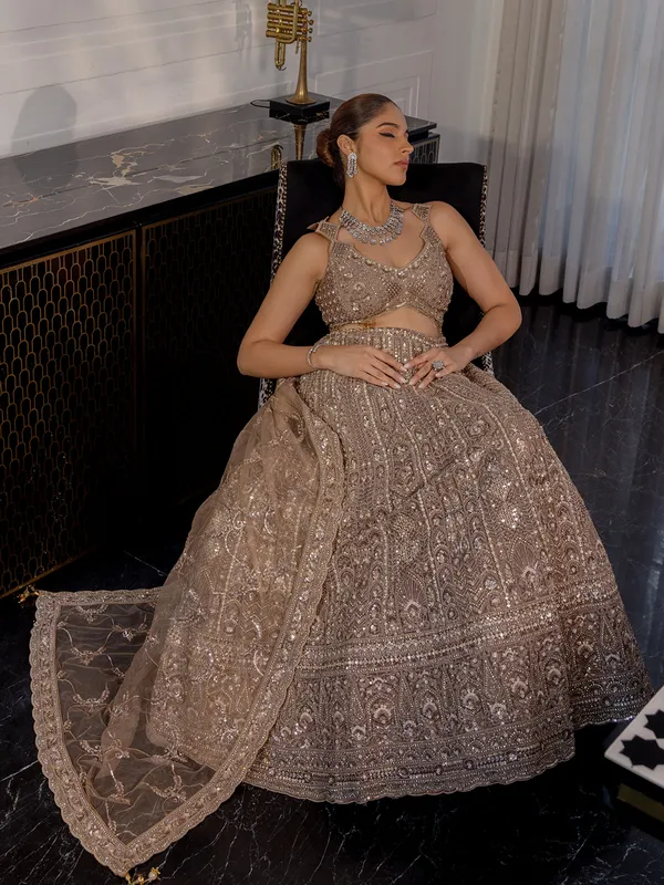 Brown net lehenga choli for wedding wear
