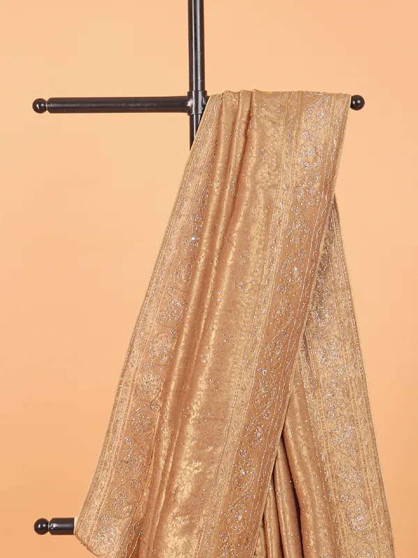 Chiku color shimmer dola silk saree