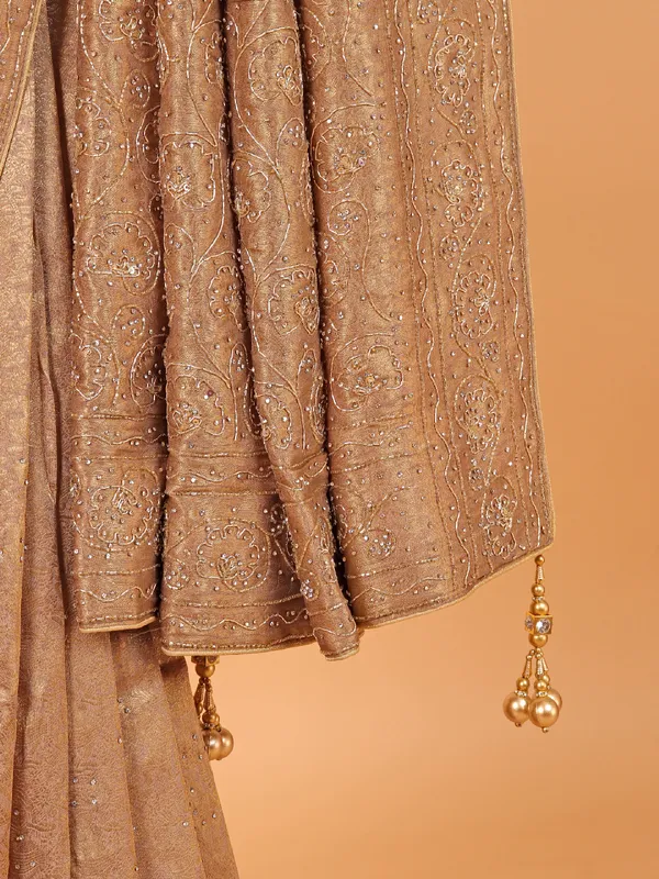 Chiku color shimmer dola silk saree