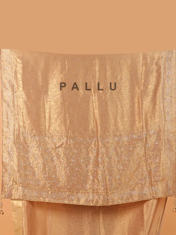 Chiku color shimmer dola silk saree