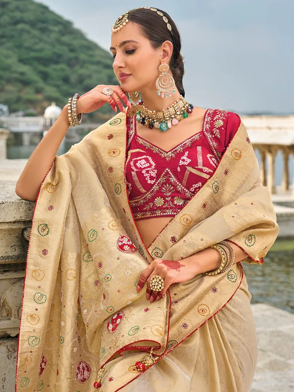 Chiku kanjivaram silk saree