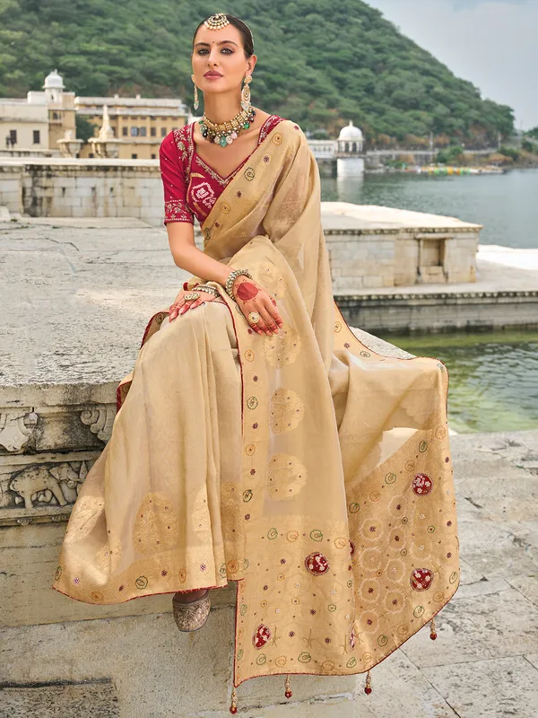Chiku kanjivaram silk saree
