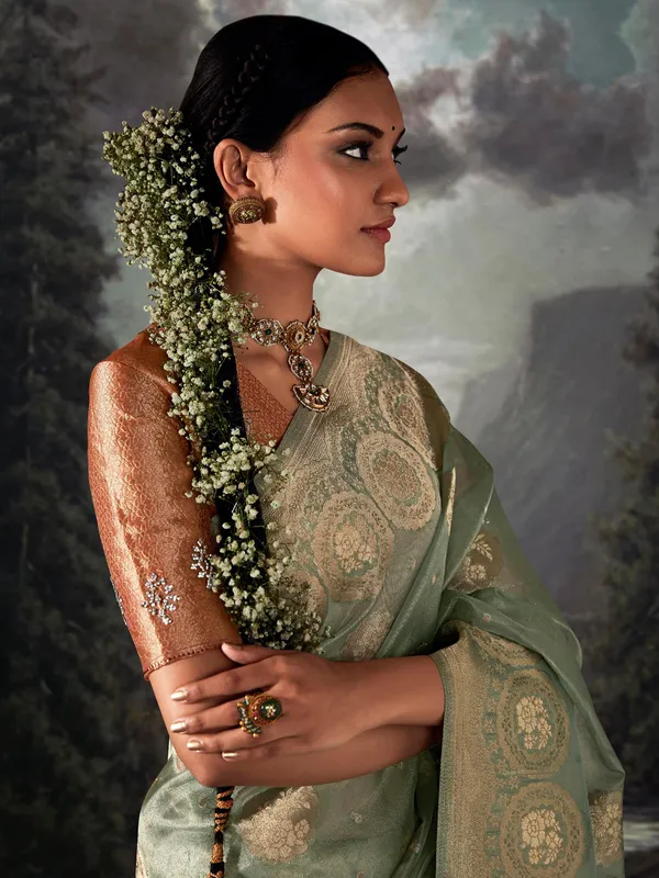 Classic pista green organza saree