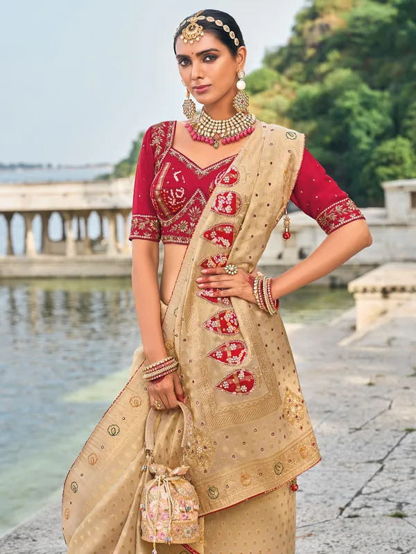 Classy chiku color kanjivaram silk saree