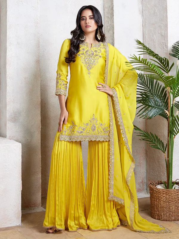 Sharara suit plus size top