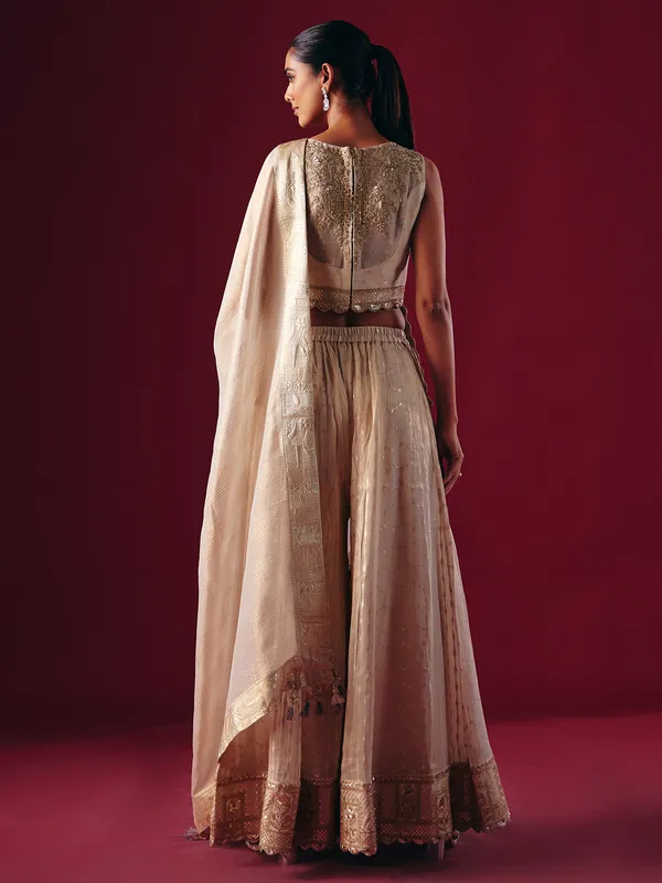 Cream georgette tissue palazzo suit with dupatta