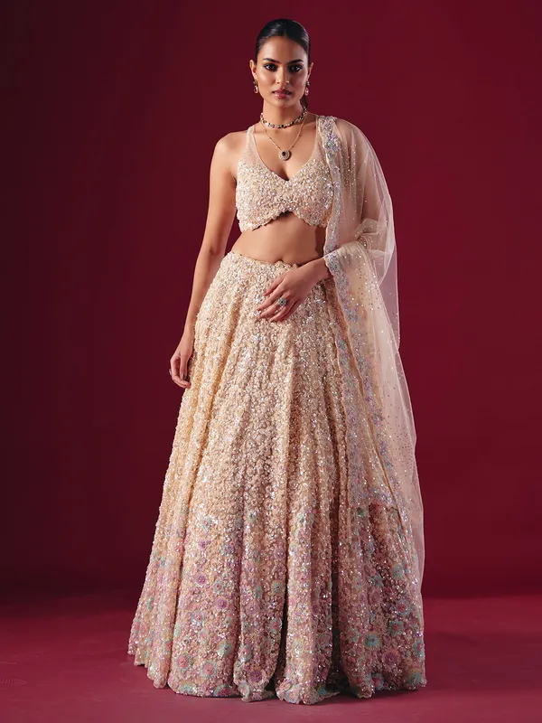 Cream net lehenga choli with cutdana embellishment