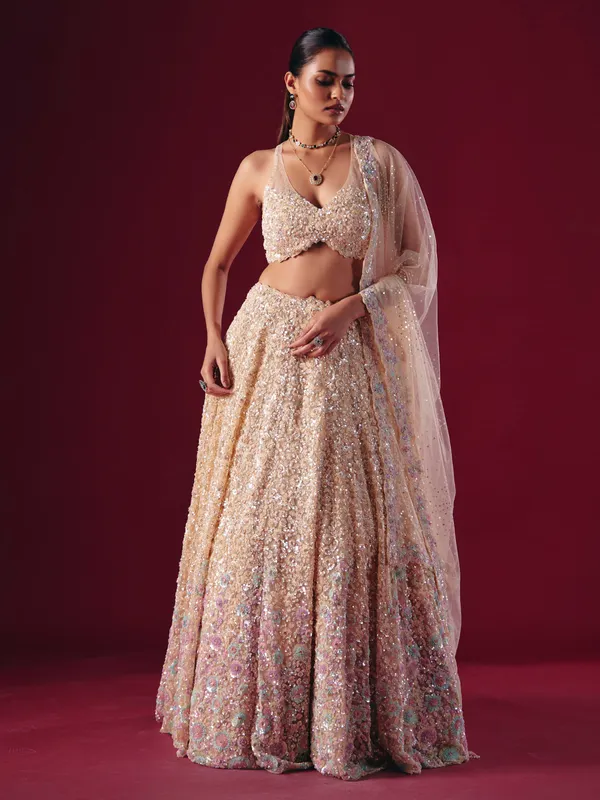 Cream net lehenga choli with cutdana embellishment