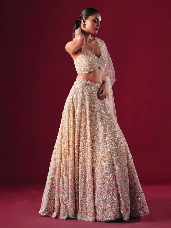 Cream net lehenga choli with cutdana embellishment