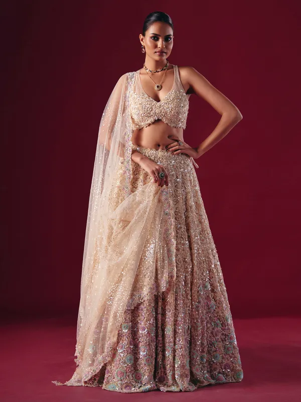 Cream net lehenga choli with cutdana embellishment