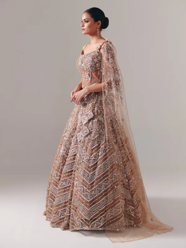 Dark beige net lehenga choli with sequins and diamond finish