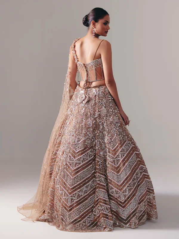 Dark beige net lehenga choli with sequins and diamond finish