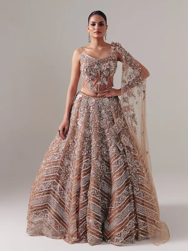 Dark beige net lehenga choli with sequins and diamond finish