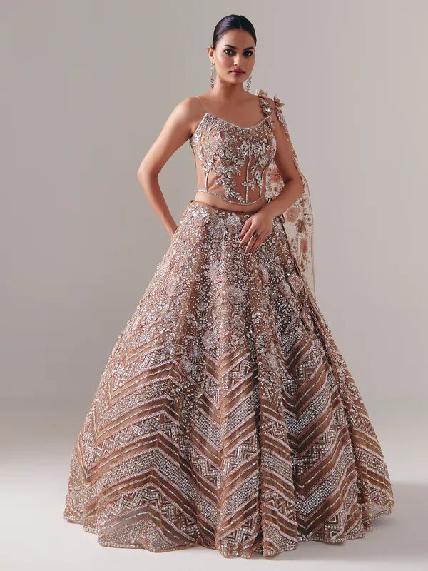 Dark beige net lehenga choli with sequins and diamond finish