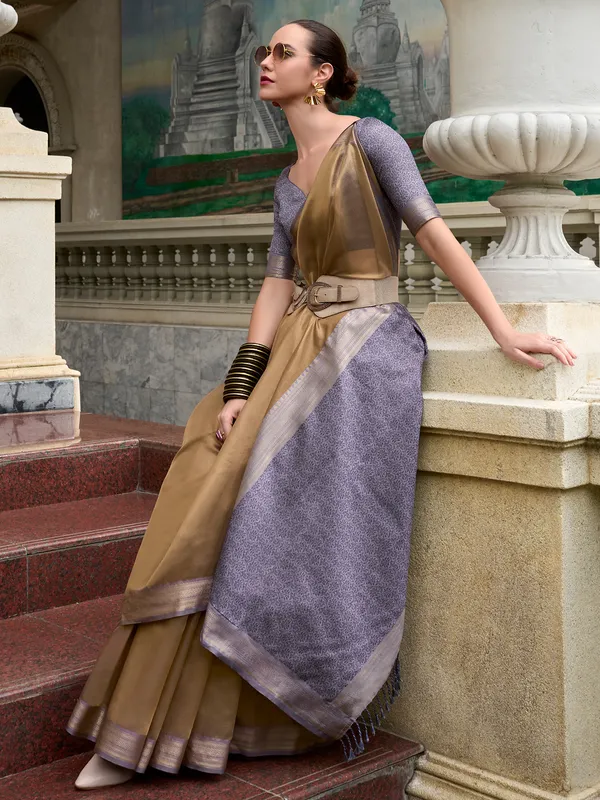 Dark beige saree with contrast border