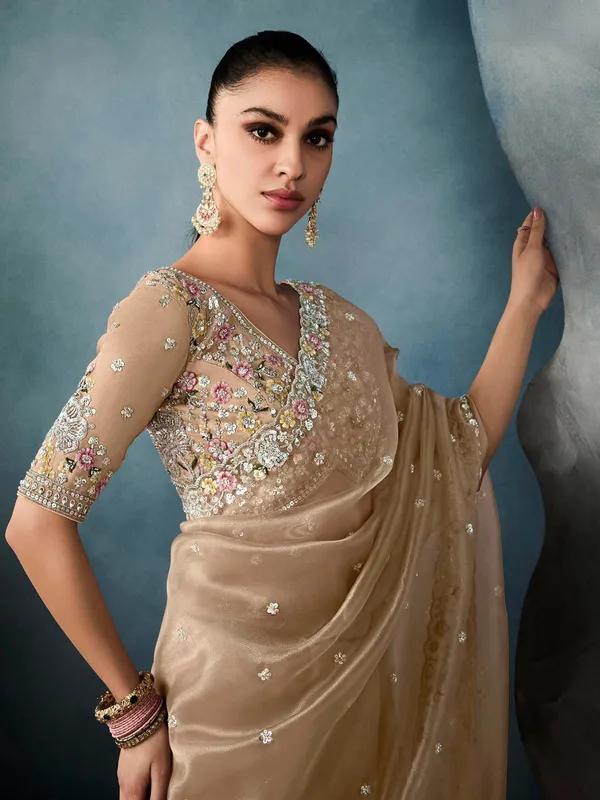 Dark beige tissue silk saree