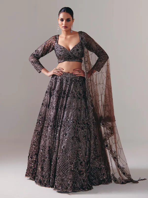 Dark brown net designer lehenga choli with dupatta
