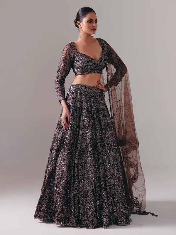 Dark brown net designer lehenga choli with dupatta