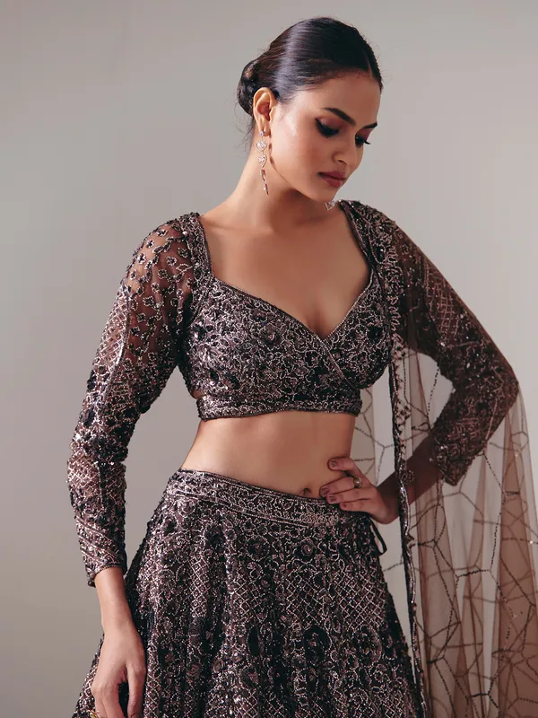 Dark brown net designer lehenga choli with dupatta