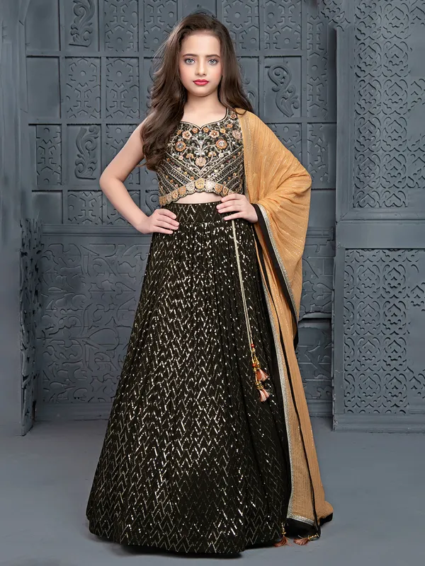 Dark olive georgette lehenga choli