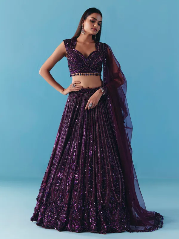 Dark purple net designer lehenga choli with dupatta