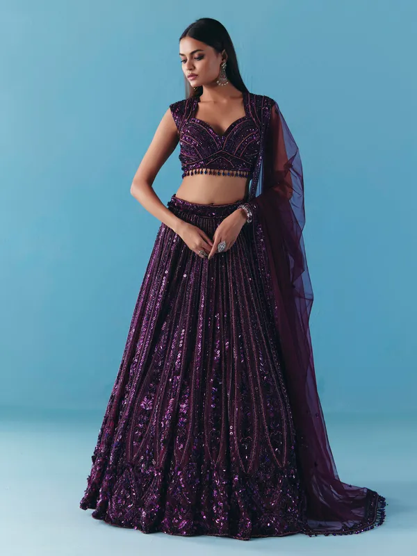 Dark purple net designer lehenga choli with dupatta