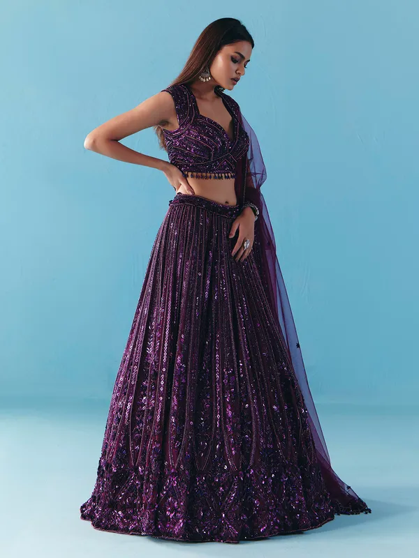 Dark purple net designer lehenga choli with dupatta