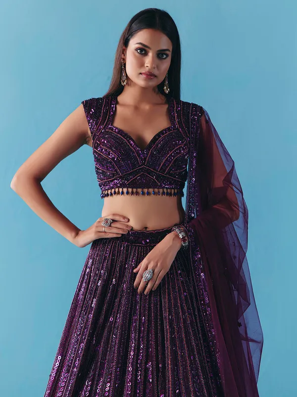Dark purple net designer lehenga choli with dupatta