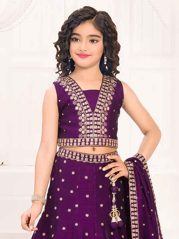 Dark purple silk lehenga choli with sequins and resham