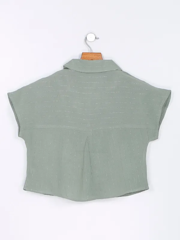 Desi Belle sage green stripe top