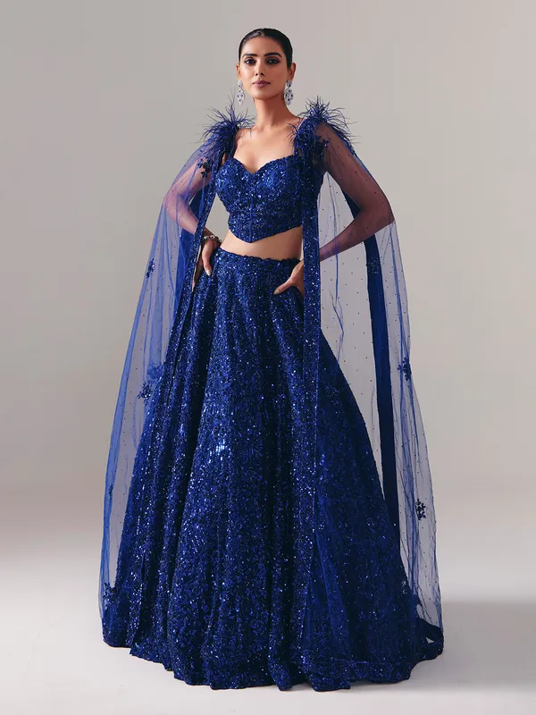 Designer blue net stone embellished lehenga choli