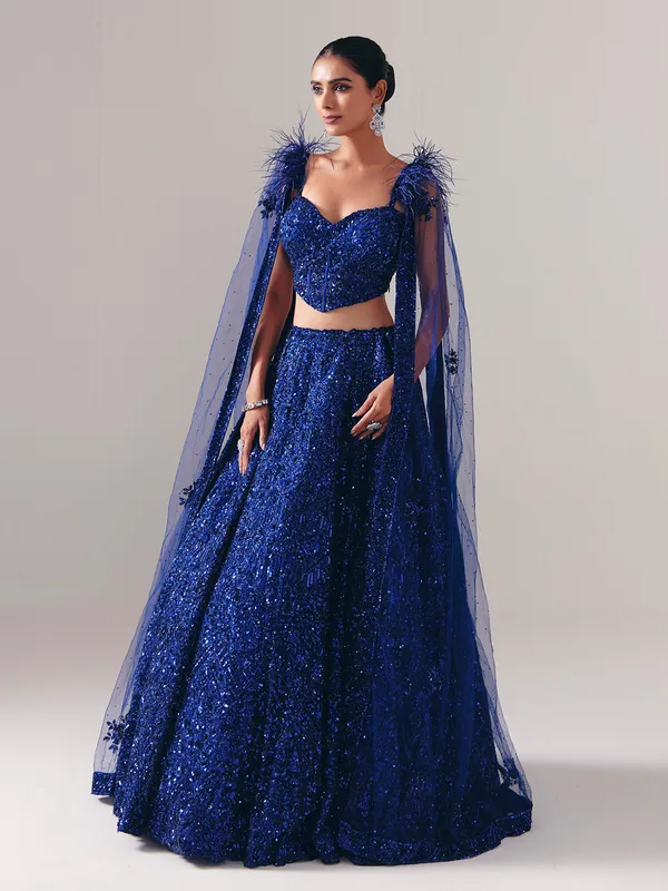 Designer blue net stone embellished lehenga choli