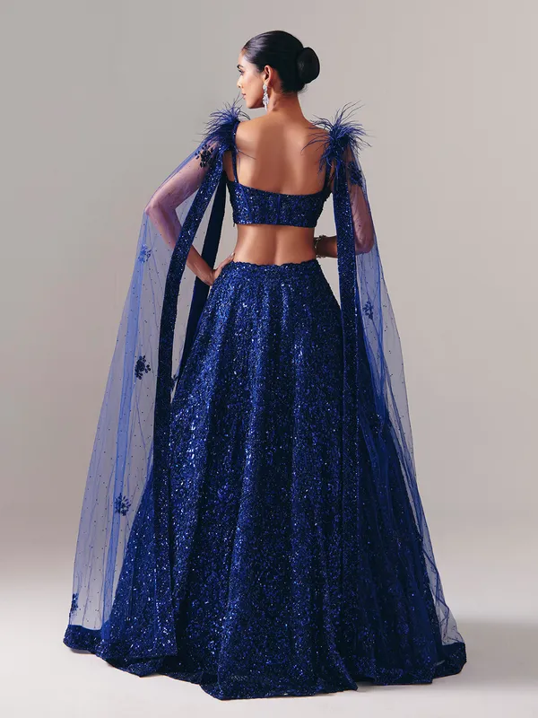 Designer blue net stone embellished lehenga choli