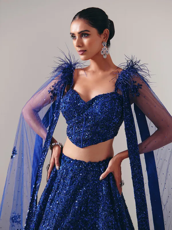 Designer blue net stone embellished lehenga choli
